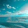 My oasis in this chaotic world