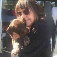 Patti