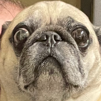 KaitBoyd