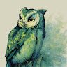 Expertowl312802