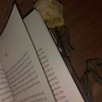 amonyreads
