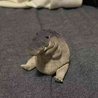 zoggy213