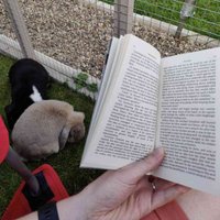 clotalksbooks