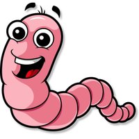 ashworm