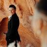 StarFox