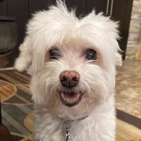 SharonLooksAtBooks